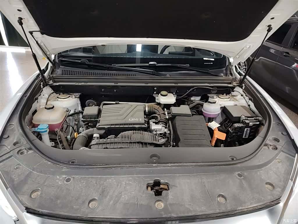 BYD Song, 2023 20