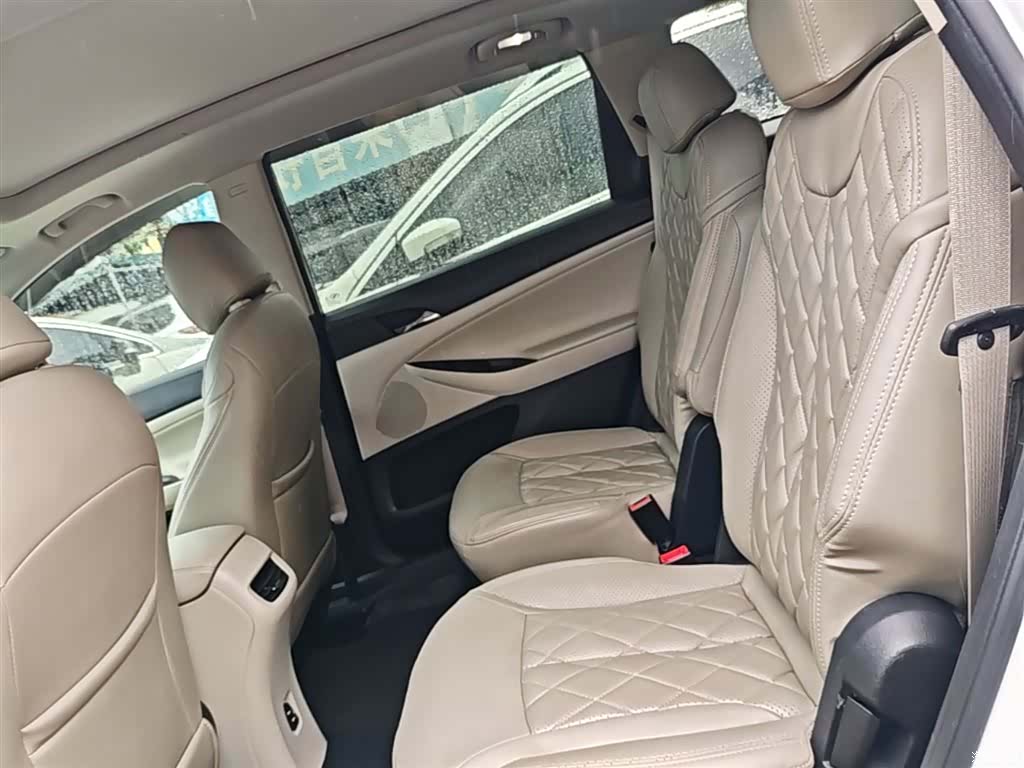 Buick GL6, 2018 16