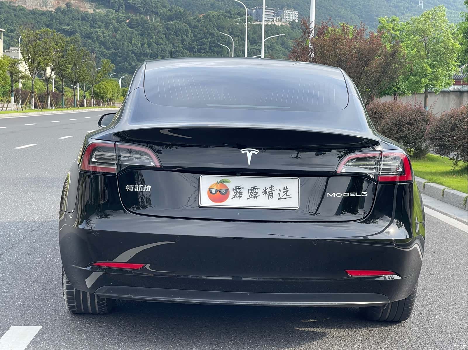 Tesla Model 3, 2020 11