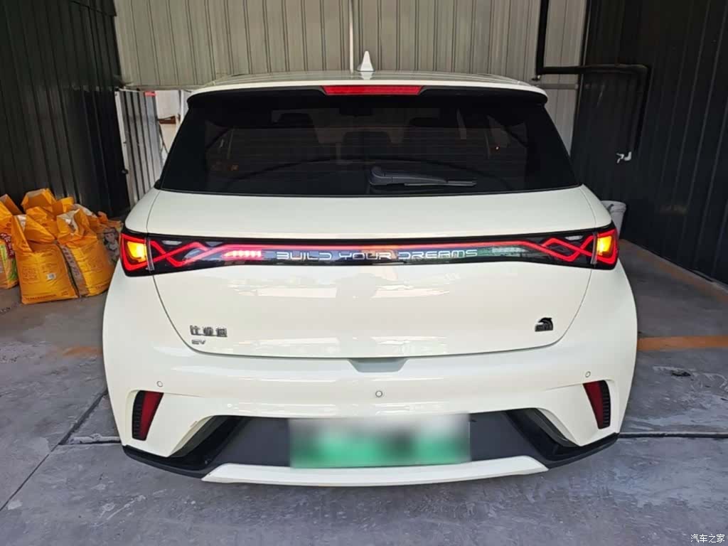 BYD Dolphin, 2024 6