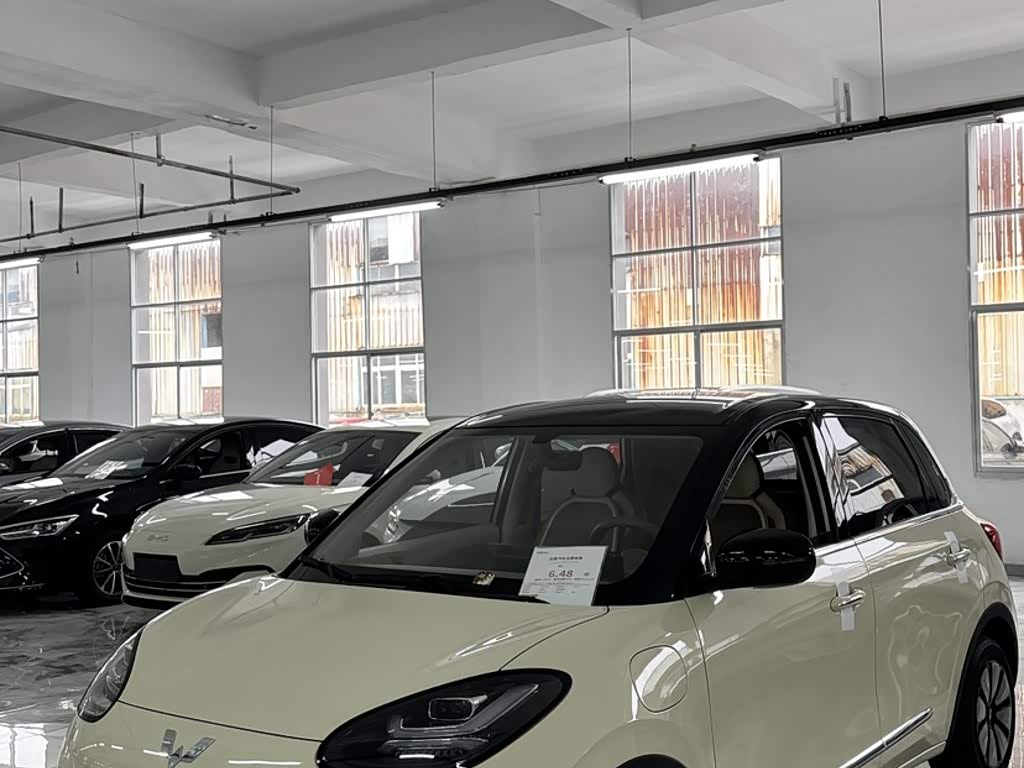 Wuling Binguo 2025 333km Enjoy