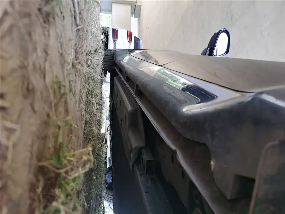 Wuling Wuling Starlight