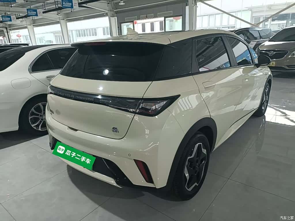 BYD Dolphin, 2022 7