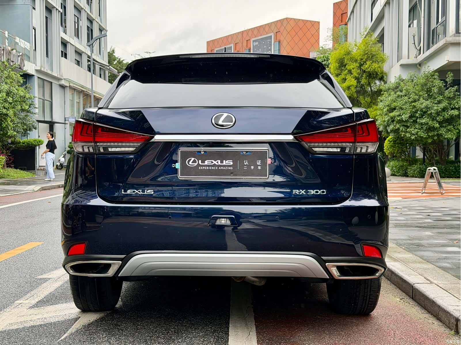 Lexus RX, 2022 19