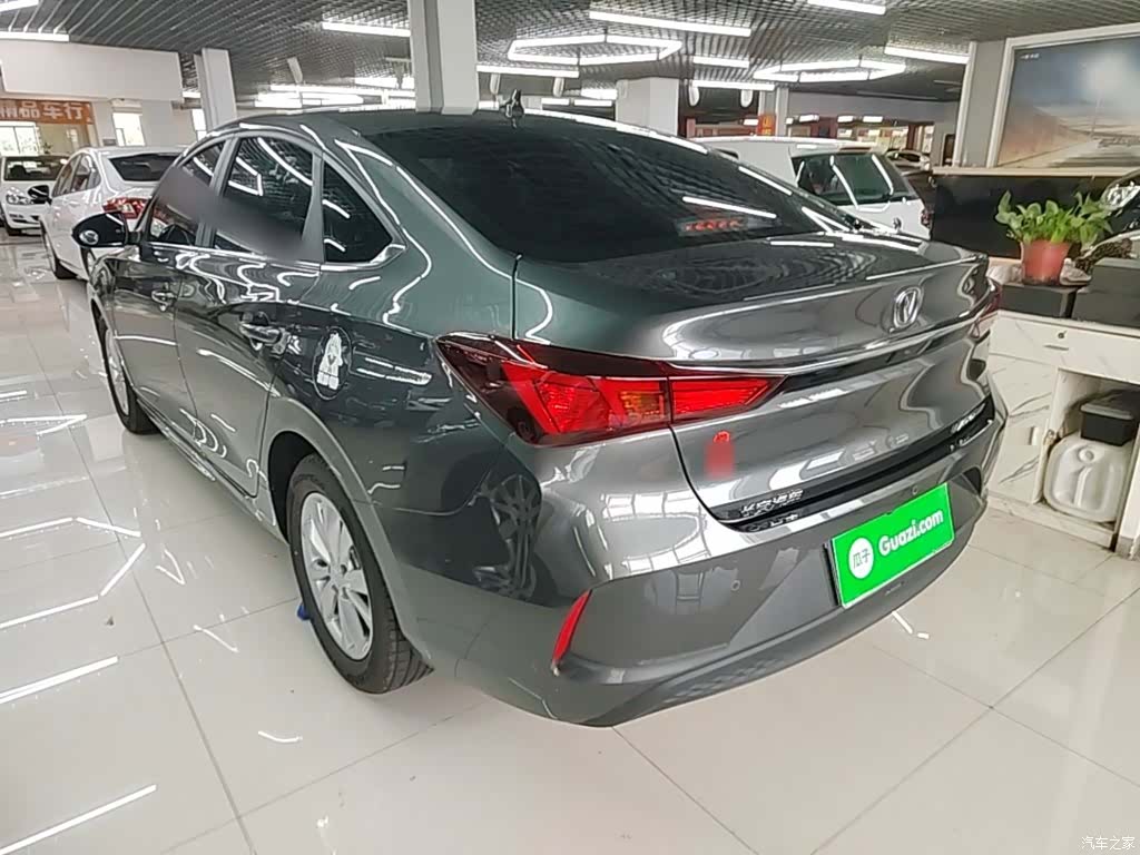 Changan Eado, 2025 все фото