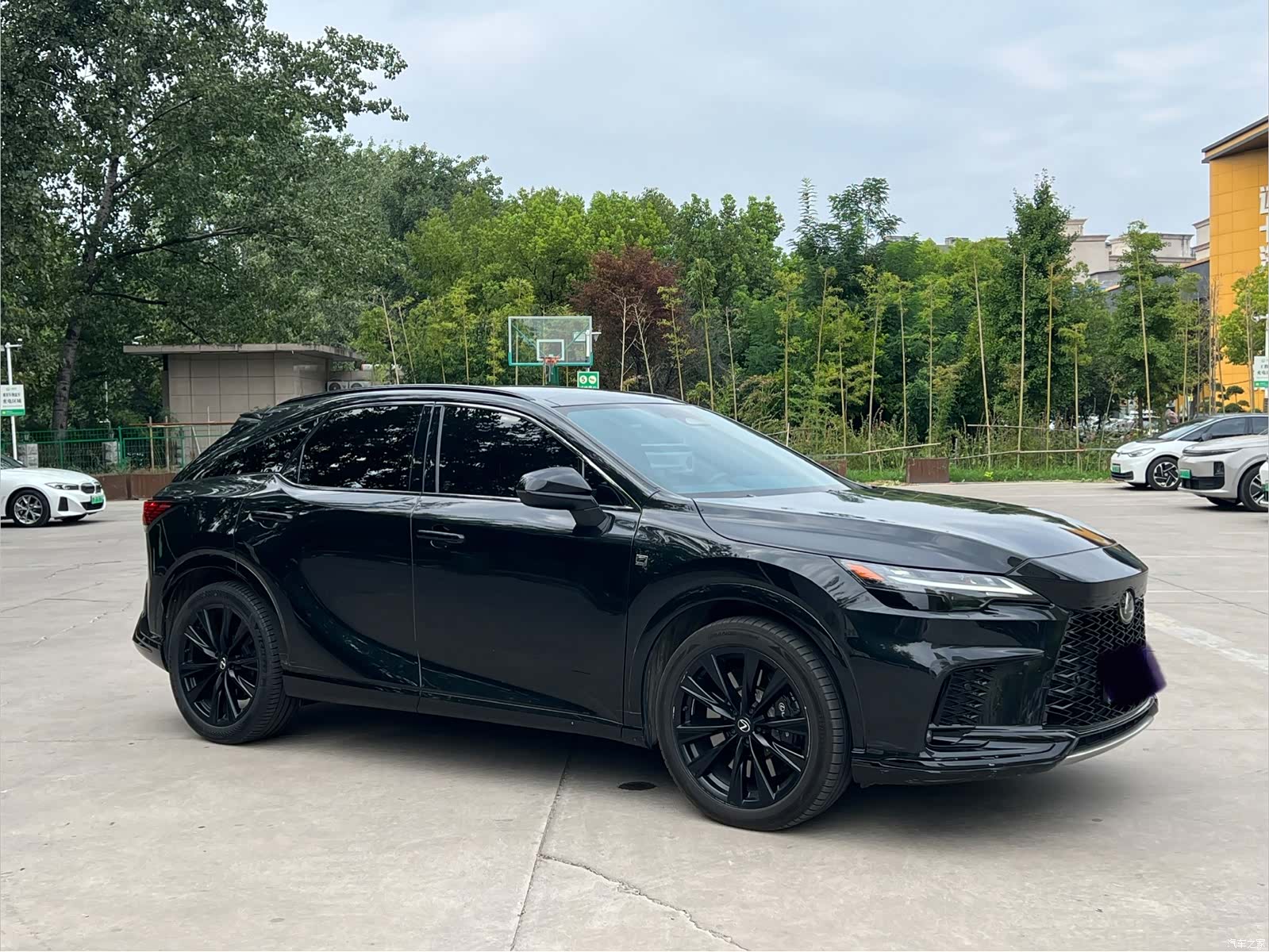 Lexus RX, 2023 3