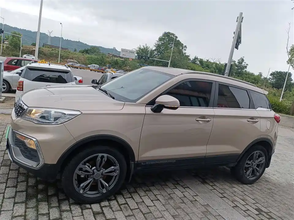 Leopaard Cheetah CS9