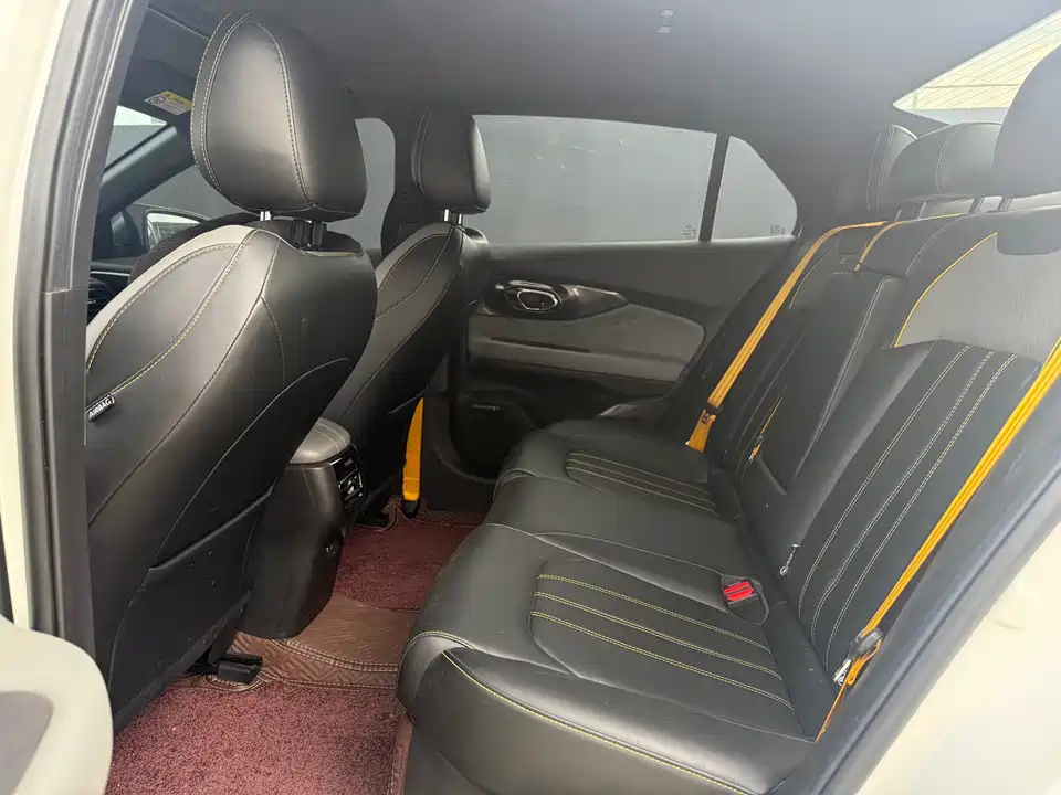 Trumpchi Shadow Leopard