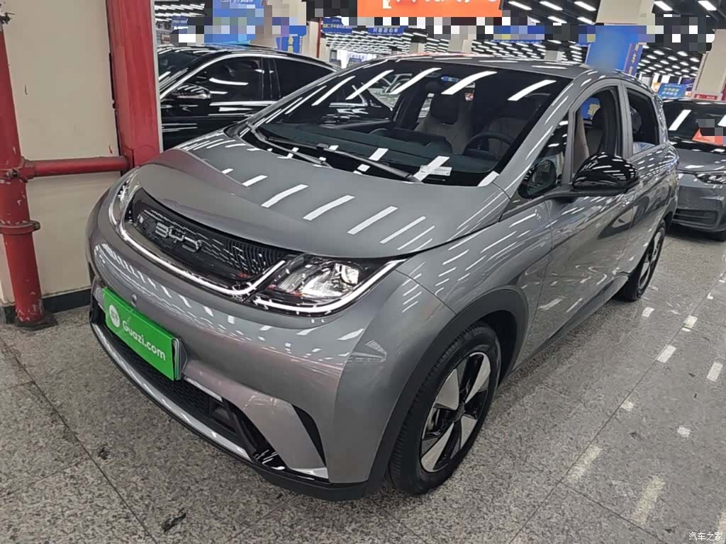 BYD Dolphin, 2024 2
