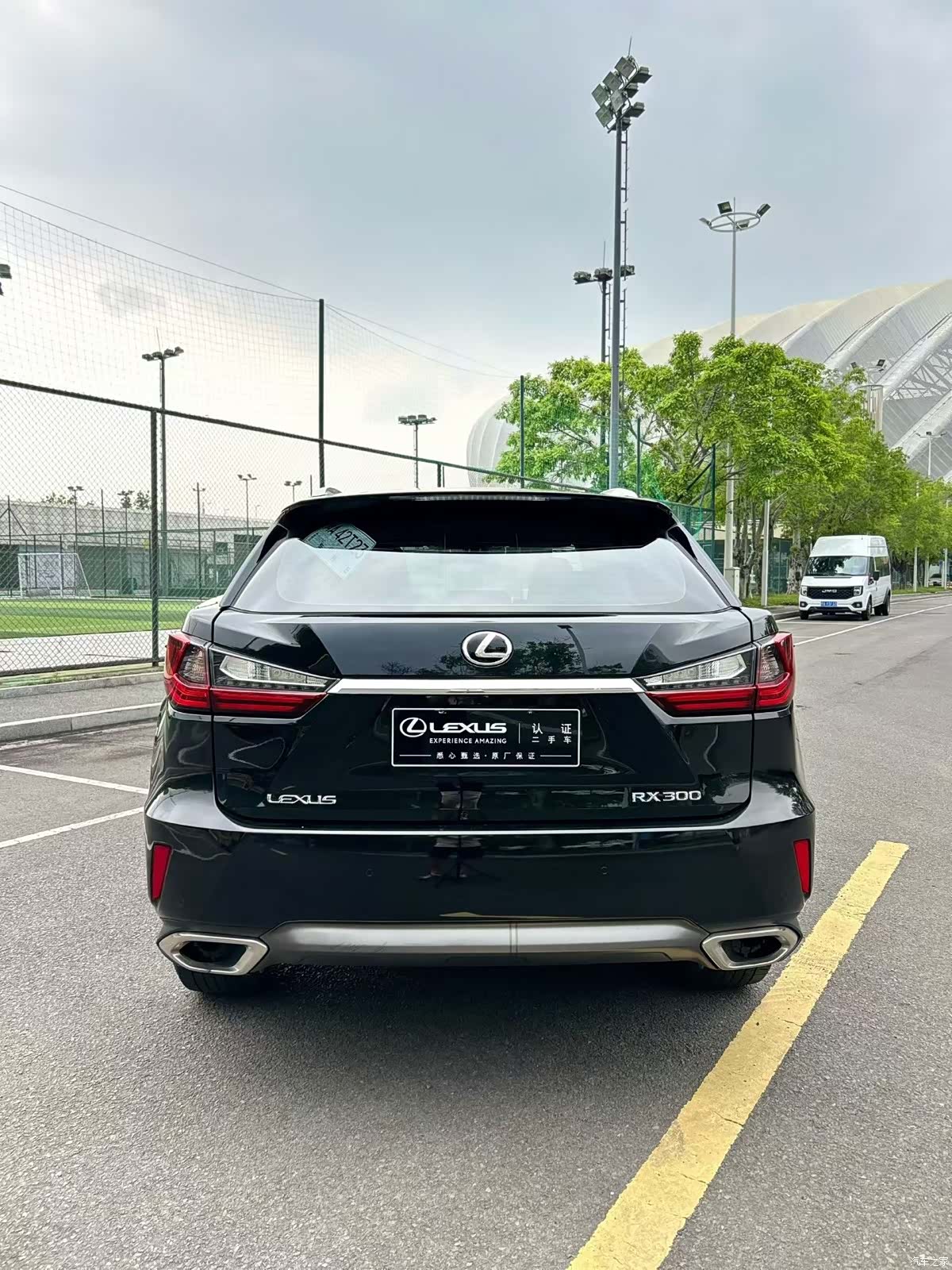 Lexus RX, 2019 все фото