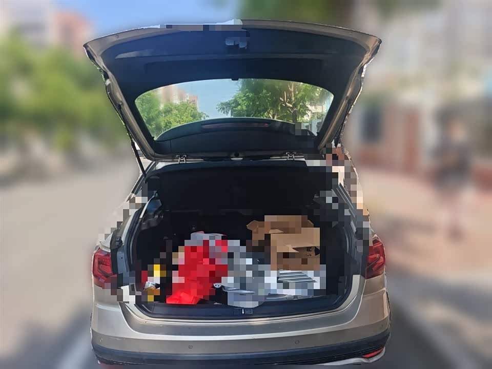 Volkswagen C-TREK Wei Collar