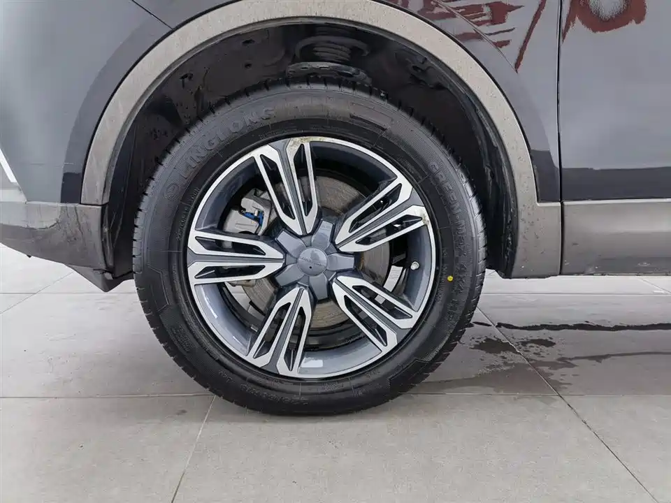 Leopaard Cheetah CS10