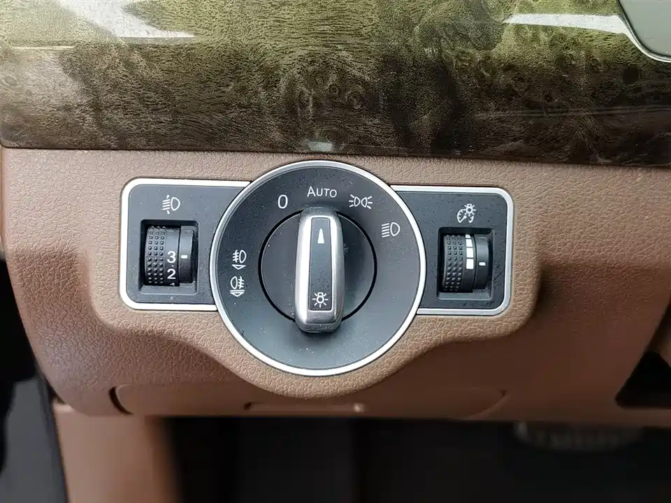 Leopaard Cheetah CS10