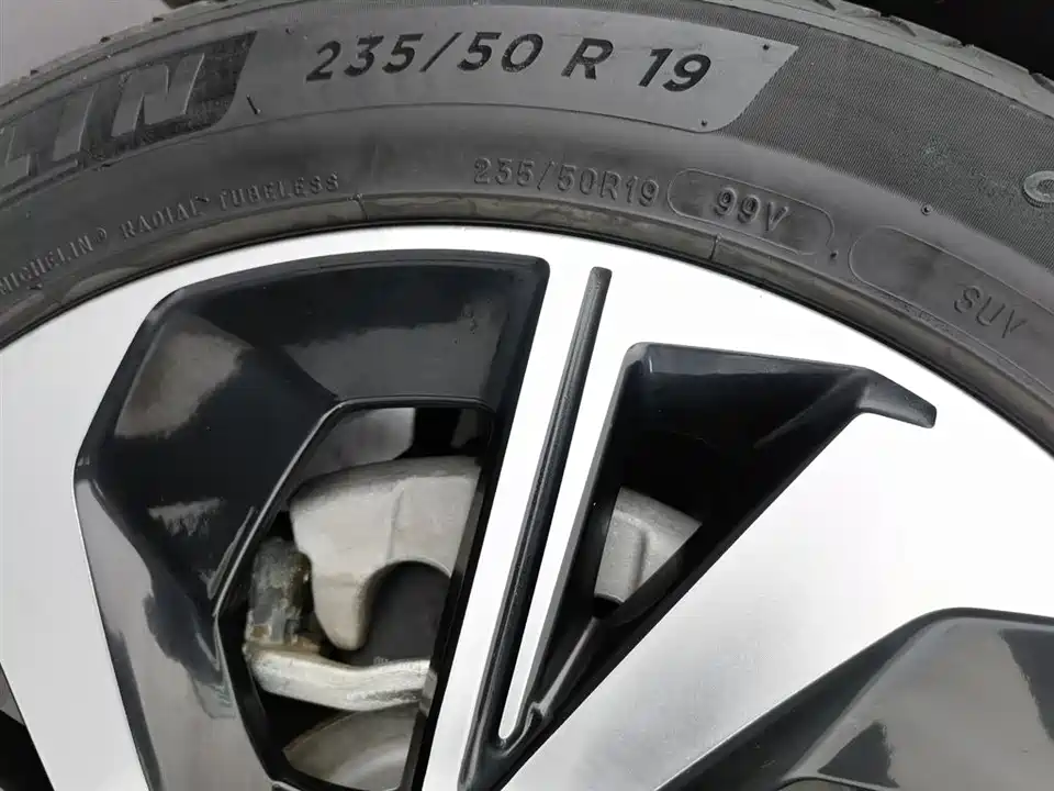 ARCFOX Polar Fox Alpha S