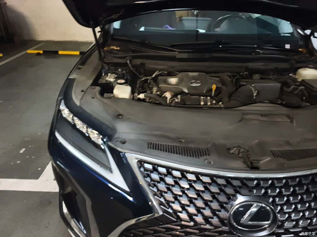 Lexus RX, 2021 21