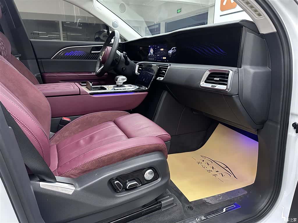 Hongqi E-HS9, 2023 14