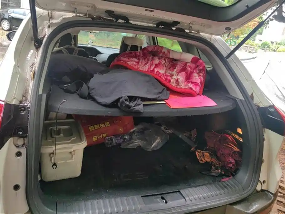 Leopaard Cheetah CS10