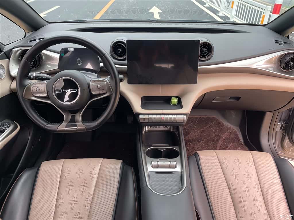 BYD Dolphin, 2024 7