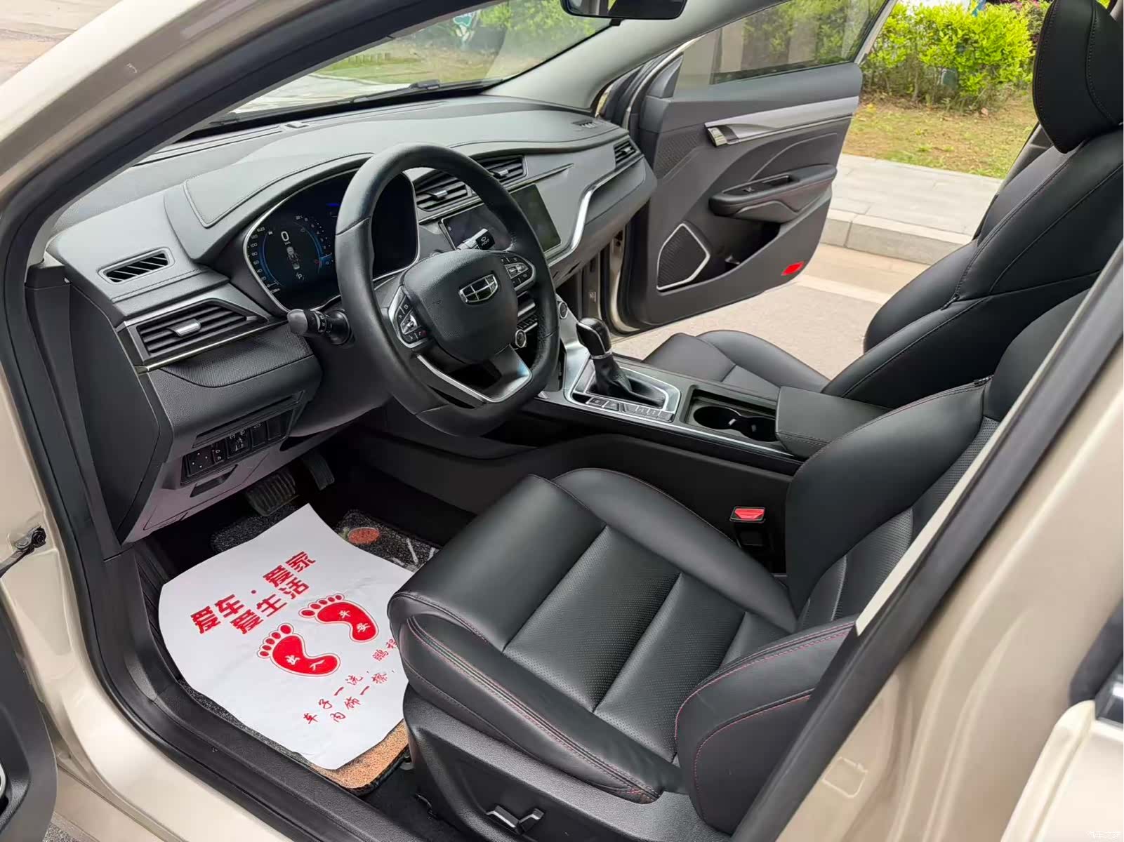 Geely Binray, 2020 4