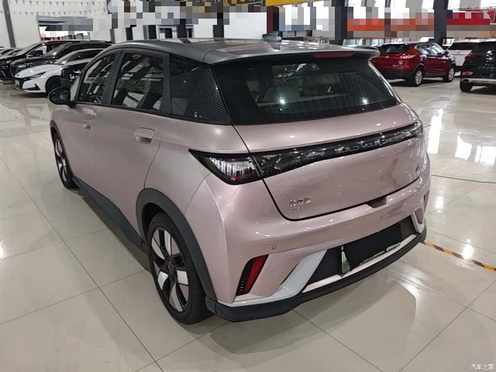 BYD Dolphin, 2022 все фото