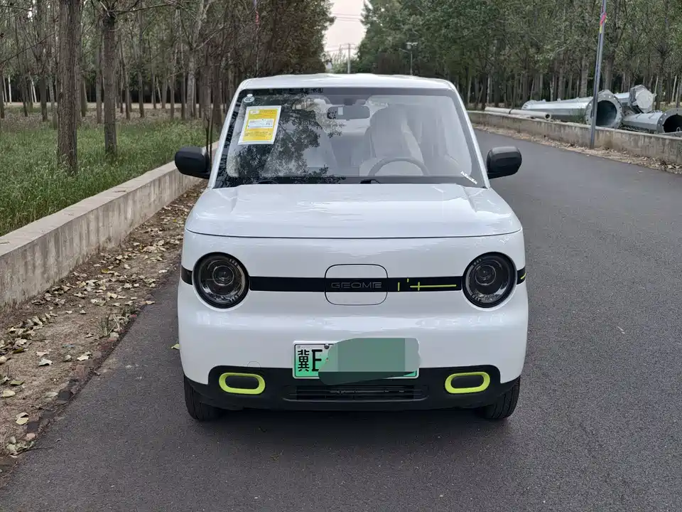 Geely Galaxy panda