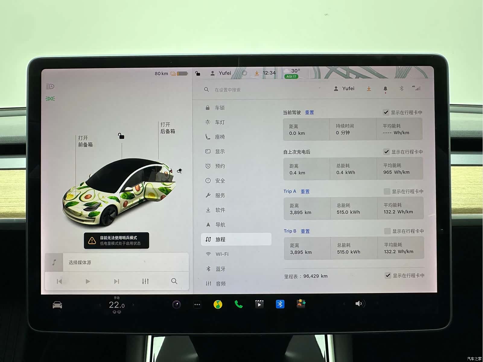 Tesla Model 3, 2019 23