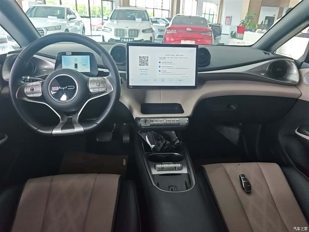 BYD Dolphin, 2023 10
