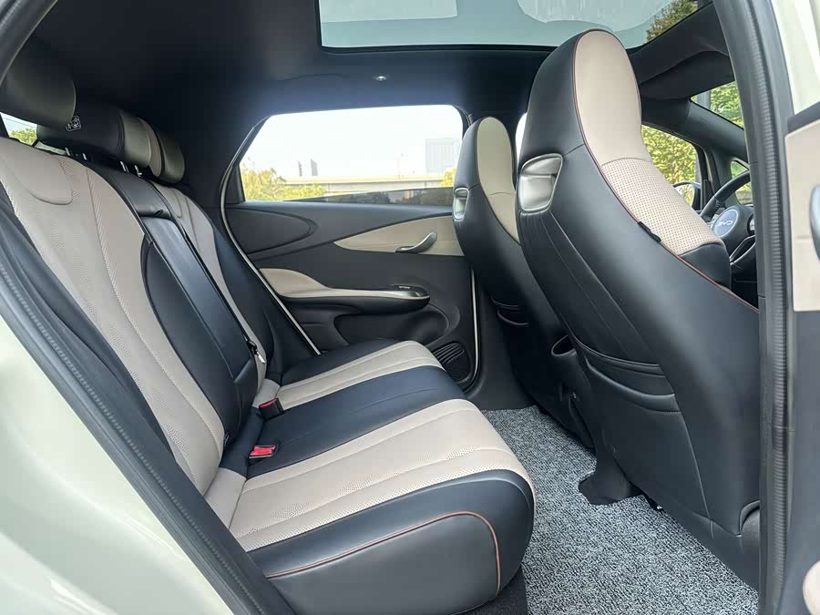 BYD Dolphin 2024, фото 12