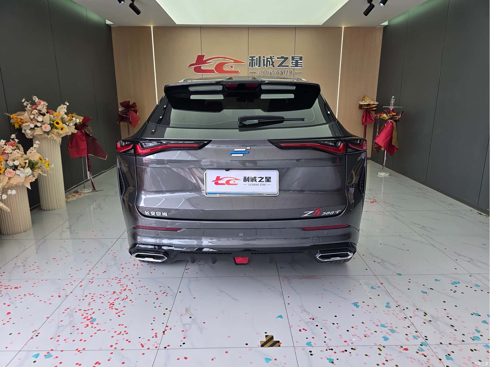 Changan Z6, 2023 все фото