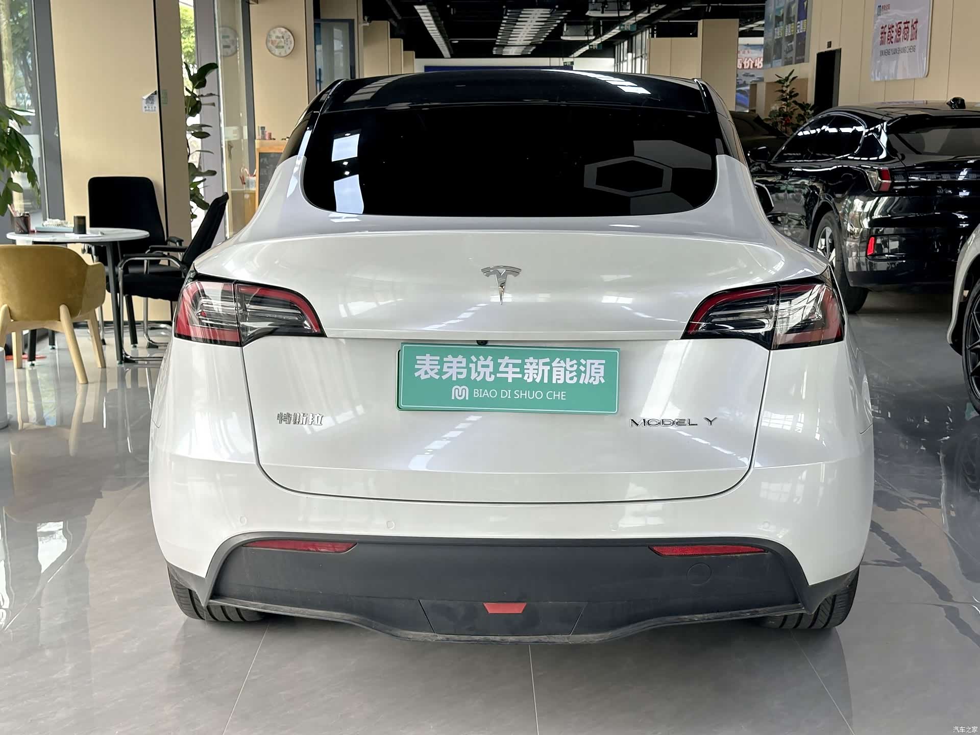 Tesla Model Y, 2022 все фото