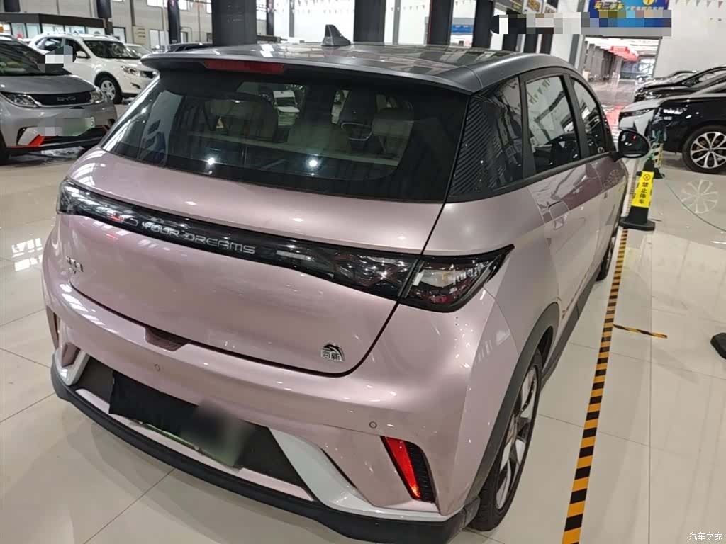 BYD Dolphin, 2022 7