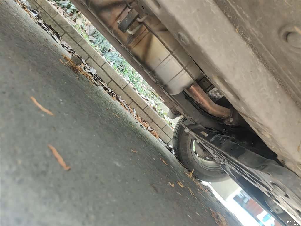 Bisu T3, 2019 16