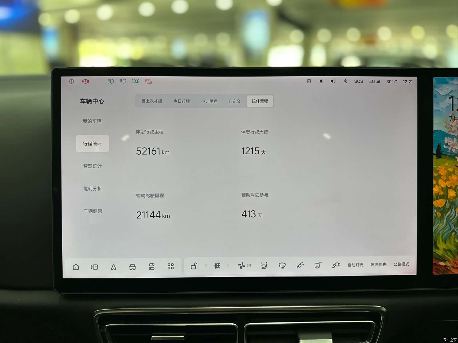 Li Auto L8, 2023 14
