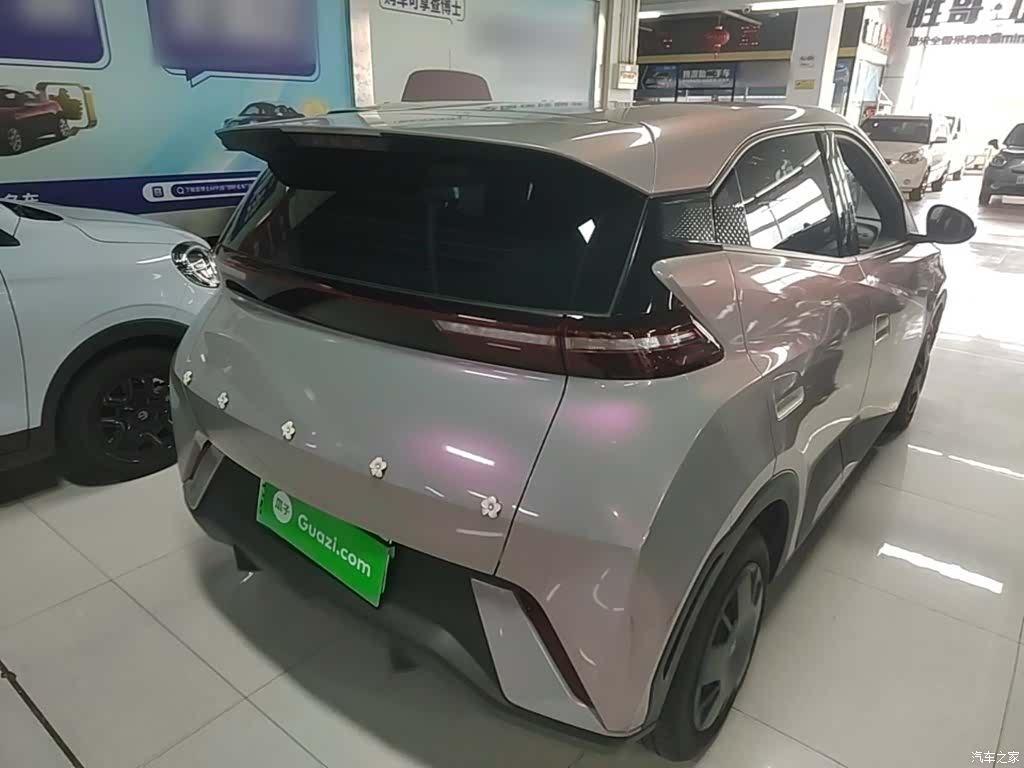 BYD Seagull, 2024 7
