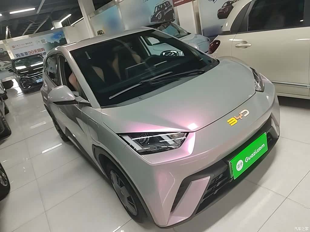 BYD Seagull, 2024 4