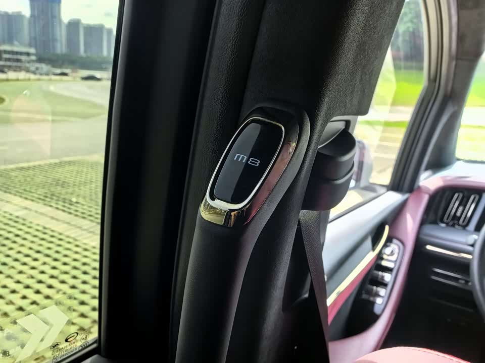 Trumpchi Trumpchi M8