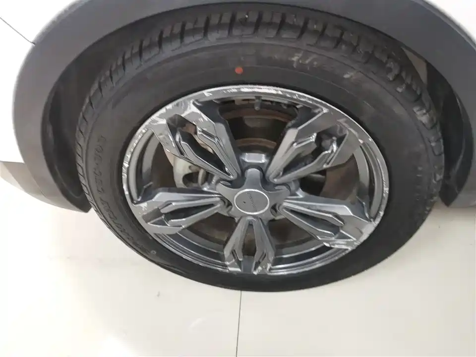 Leopaard Cheetah CS9