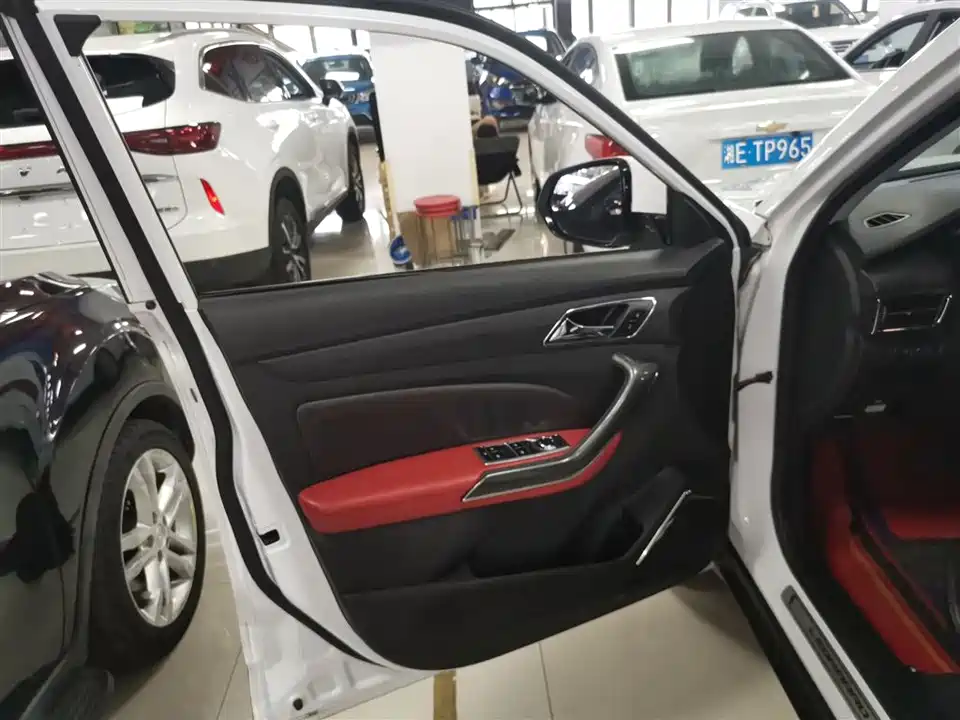 Leopaard Cheetah CS9