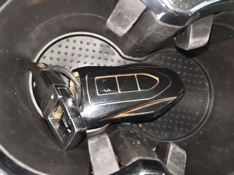 Leopaard Cheetah CS9