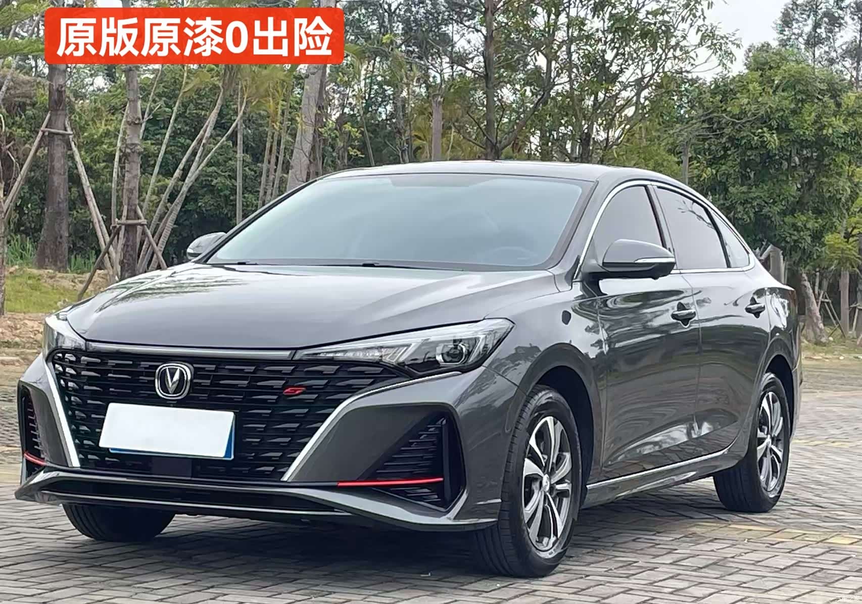 Changan Eado, 2023 1