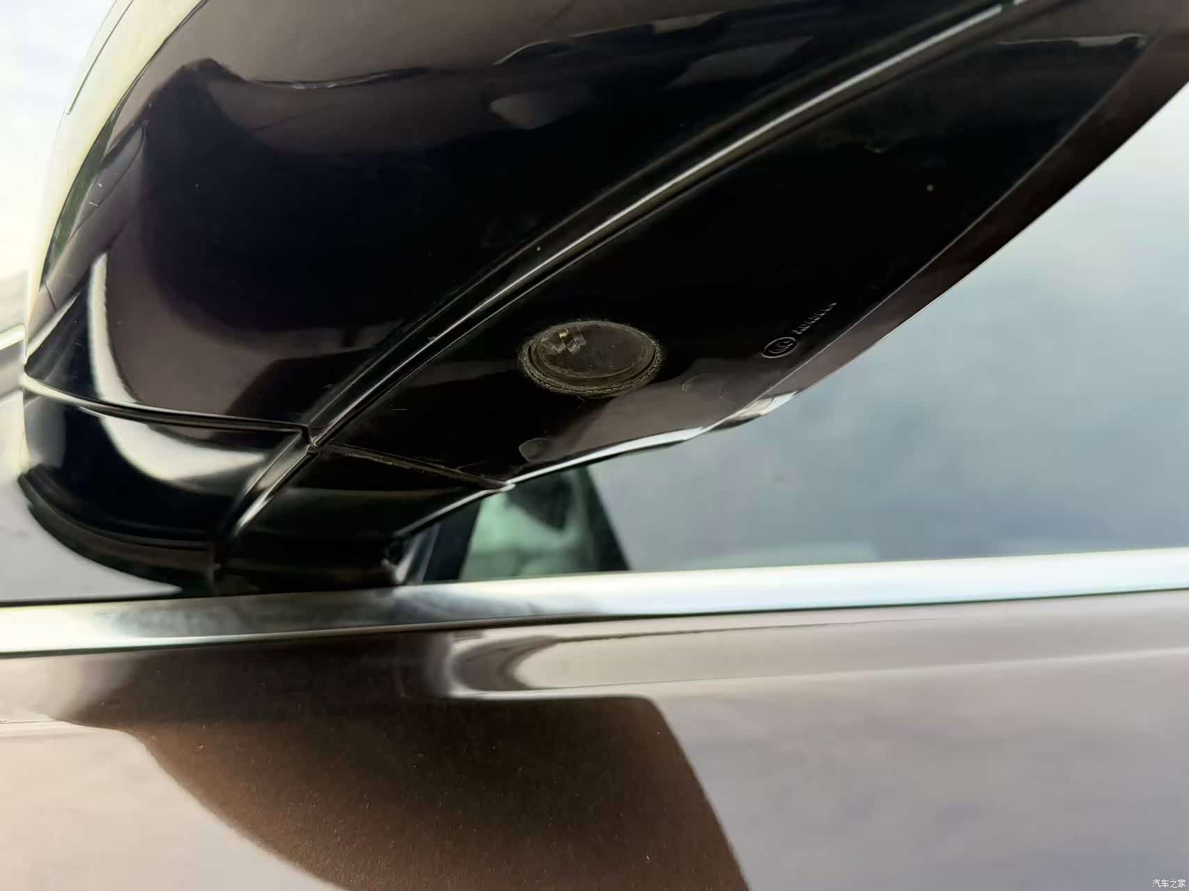 Audi Q5, 2017 все фото