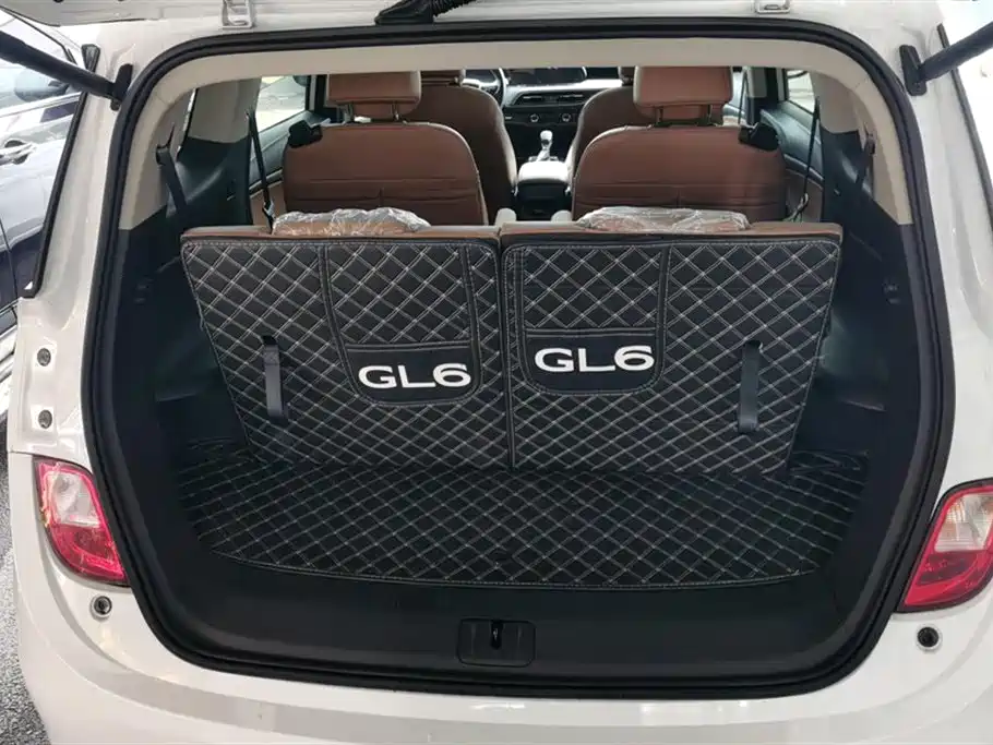 Buick GL6