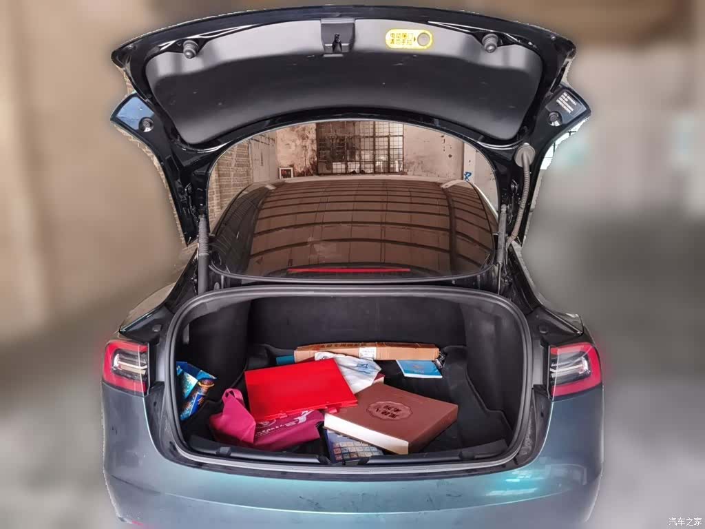 Tesla Model 3, 2021 10