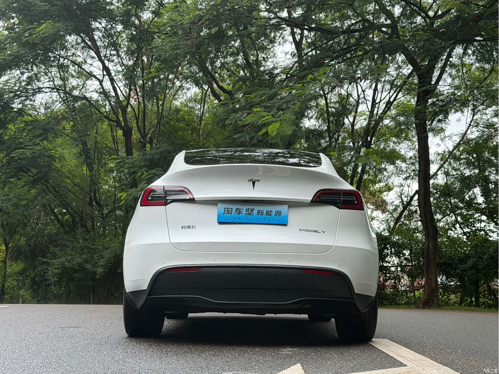 Tesla Model Y, 2023 все фото