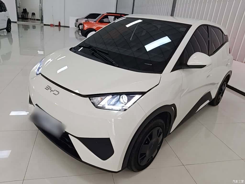 BYD Seagull, 2025 2