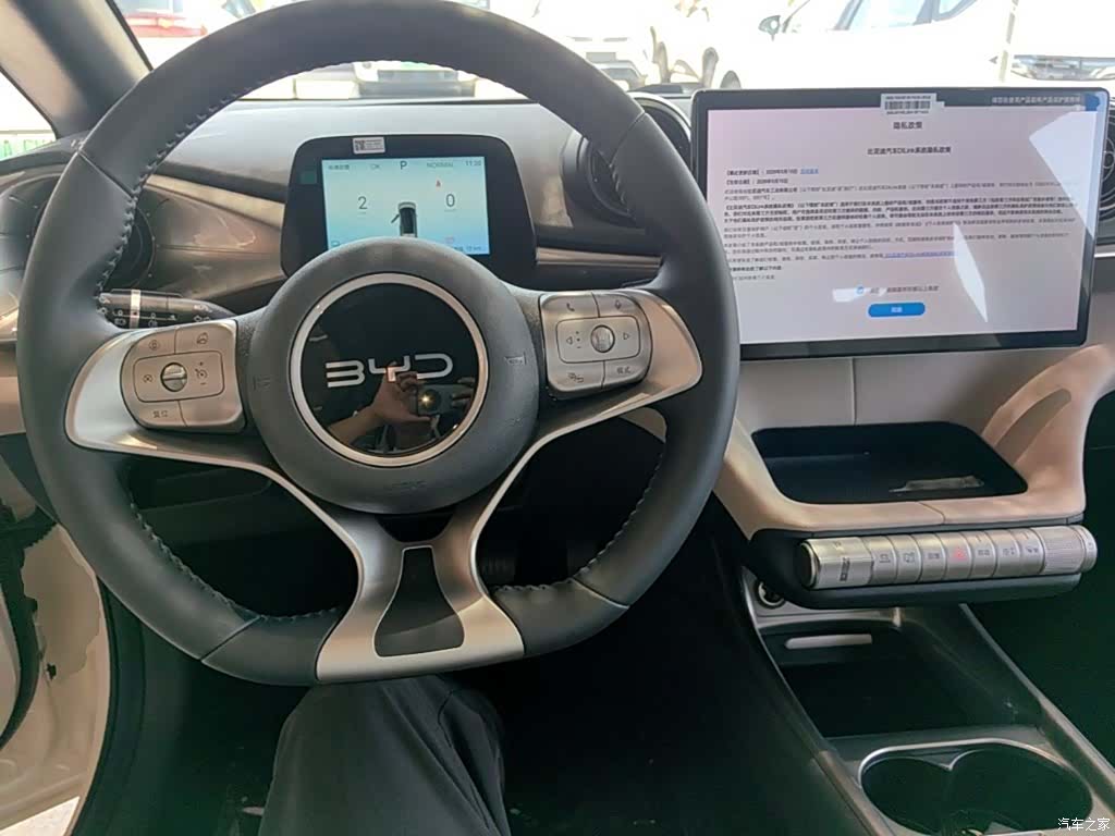 BYD Dolphin, 2026 10