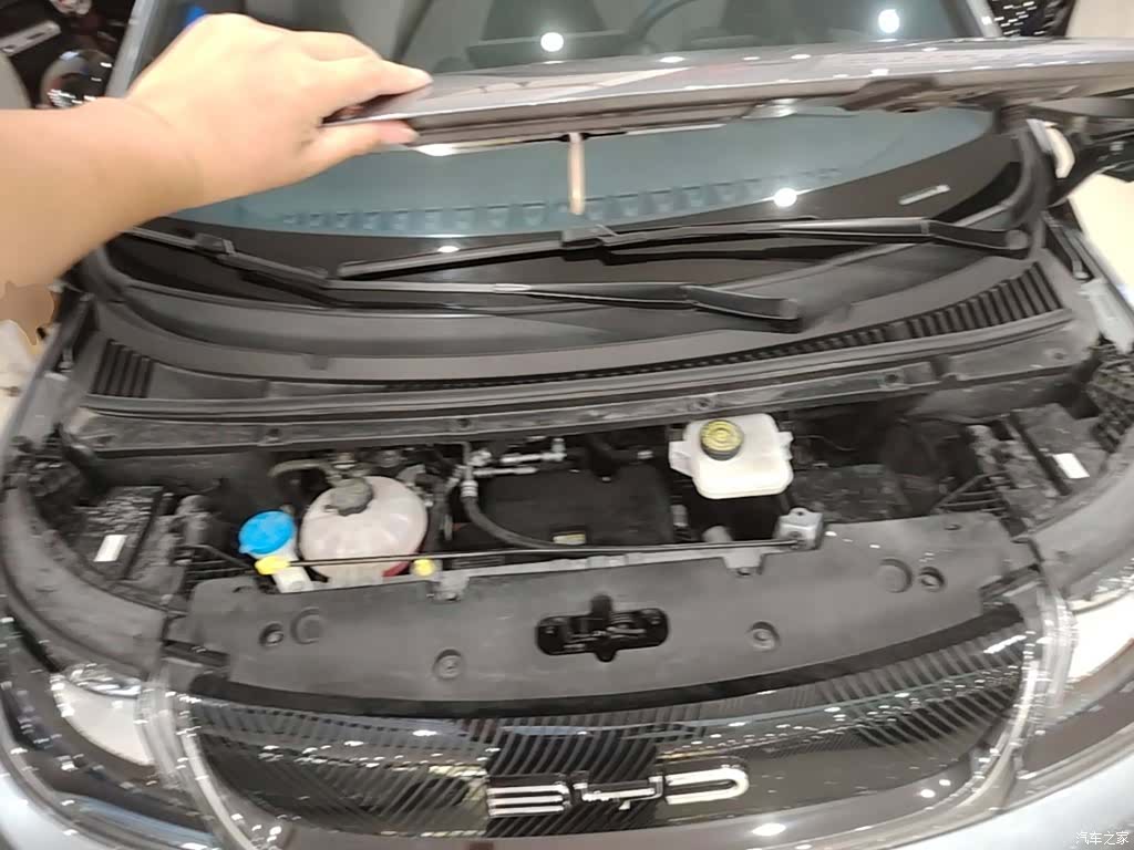 BYD Dolphin, 2024 20