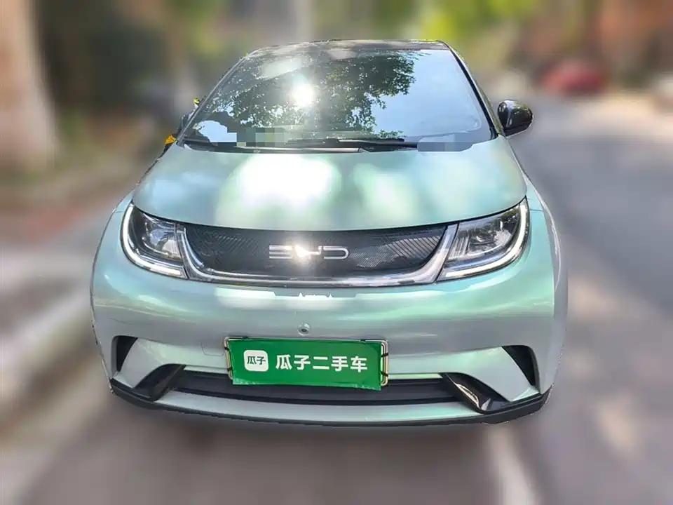 BYD dolphin