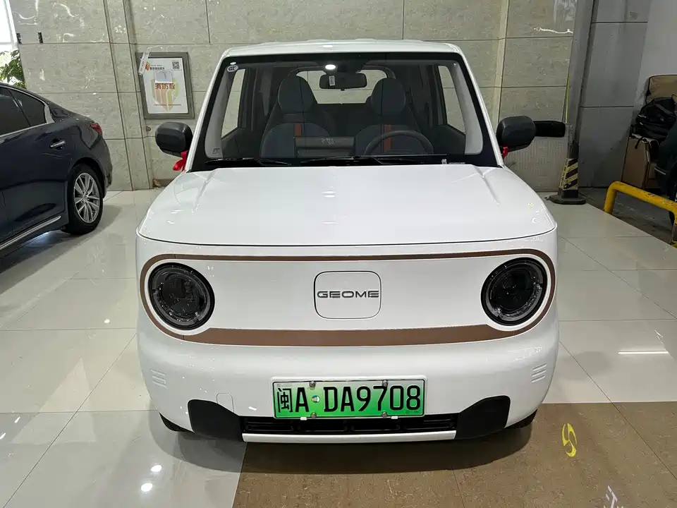 Geely Galaxy panda