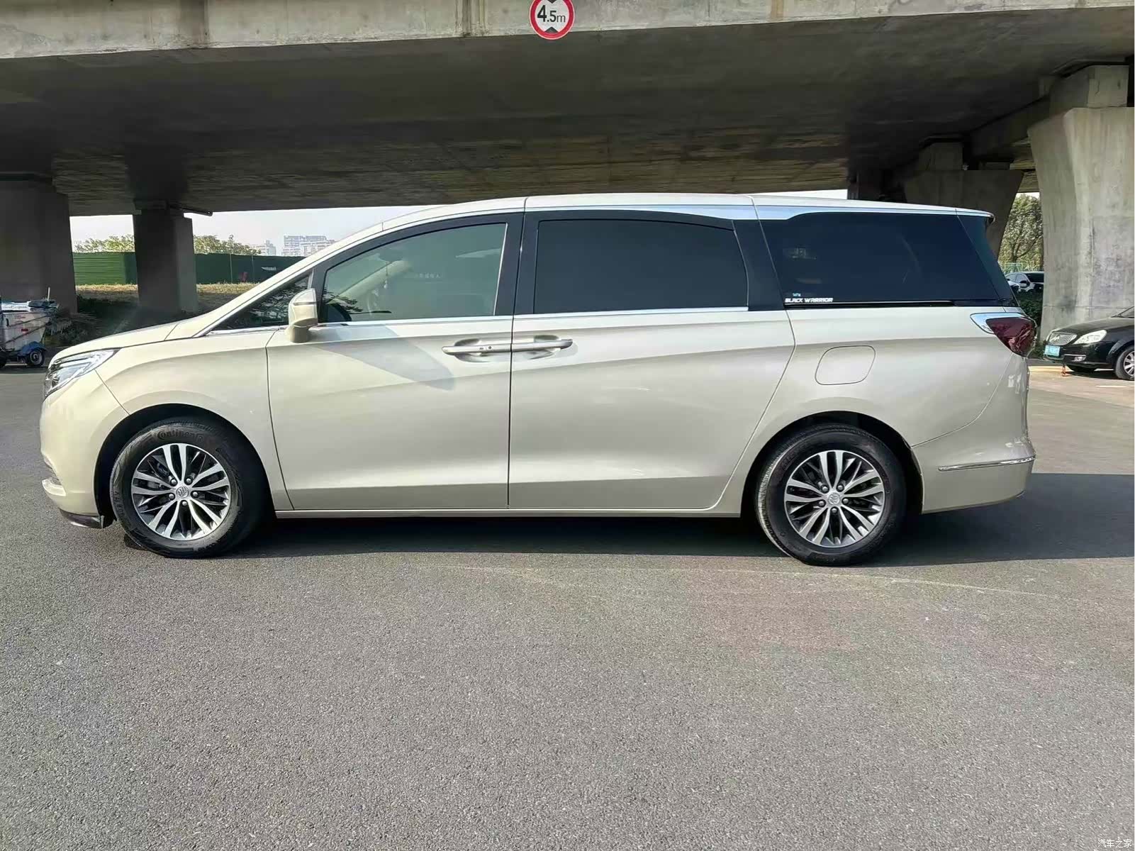 Buick GL8, 2019 14